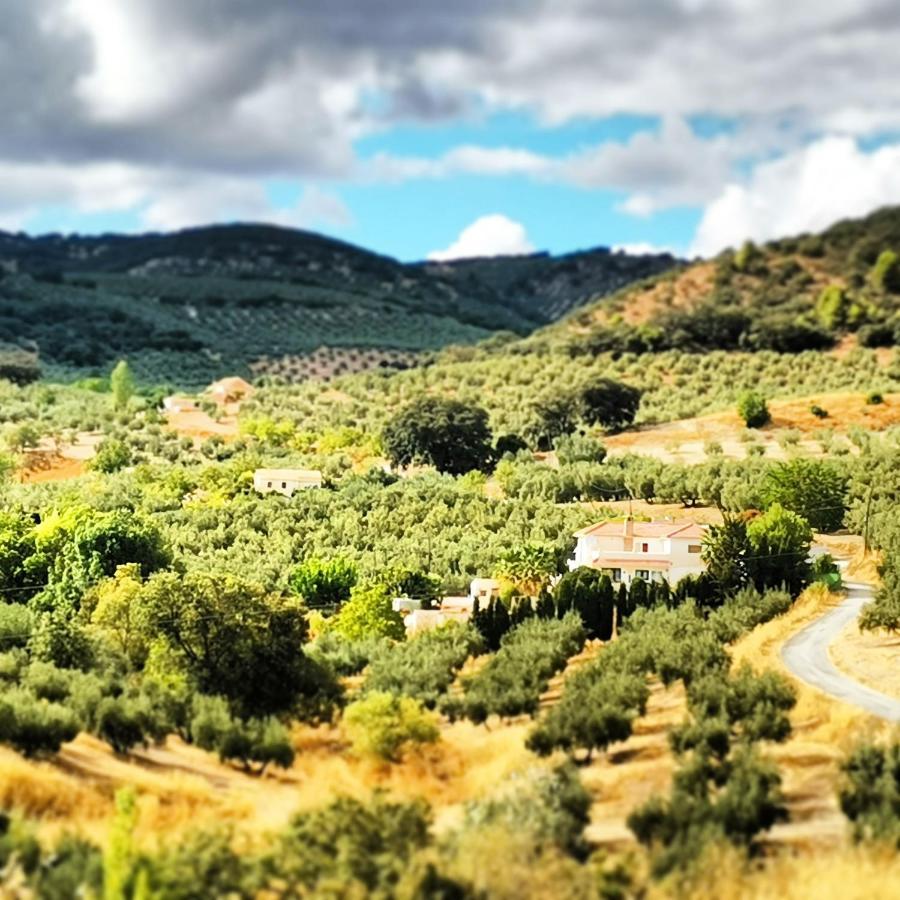 Cortijo Pennymaria Poolside Apartment Near Montefrio With Stunning Views Экстерьер фото