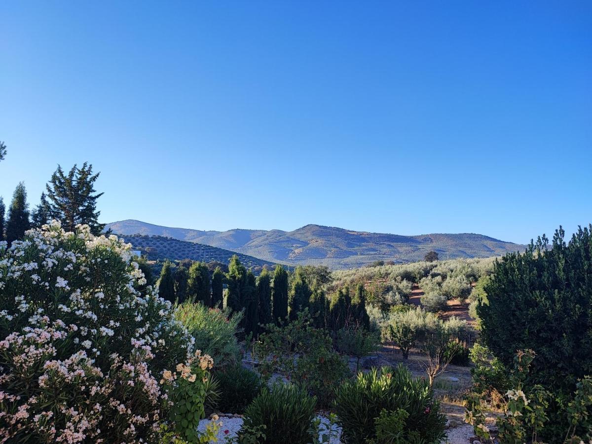 Cortijo Pennymaria Poolside Apartment Near Montefrio With Stunning Views Экстерьер фото