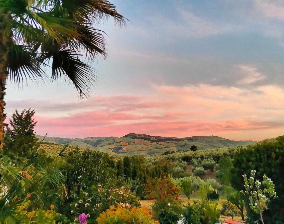Cortijo Pennymaria Poolside Apartment Near Montefrio With Stunning Views Экстерьер фото