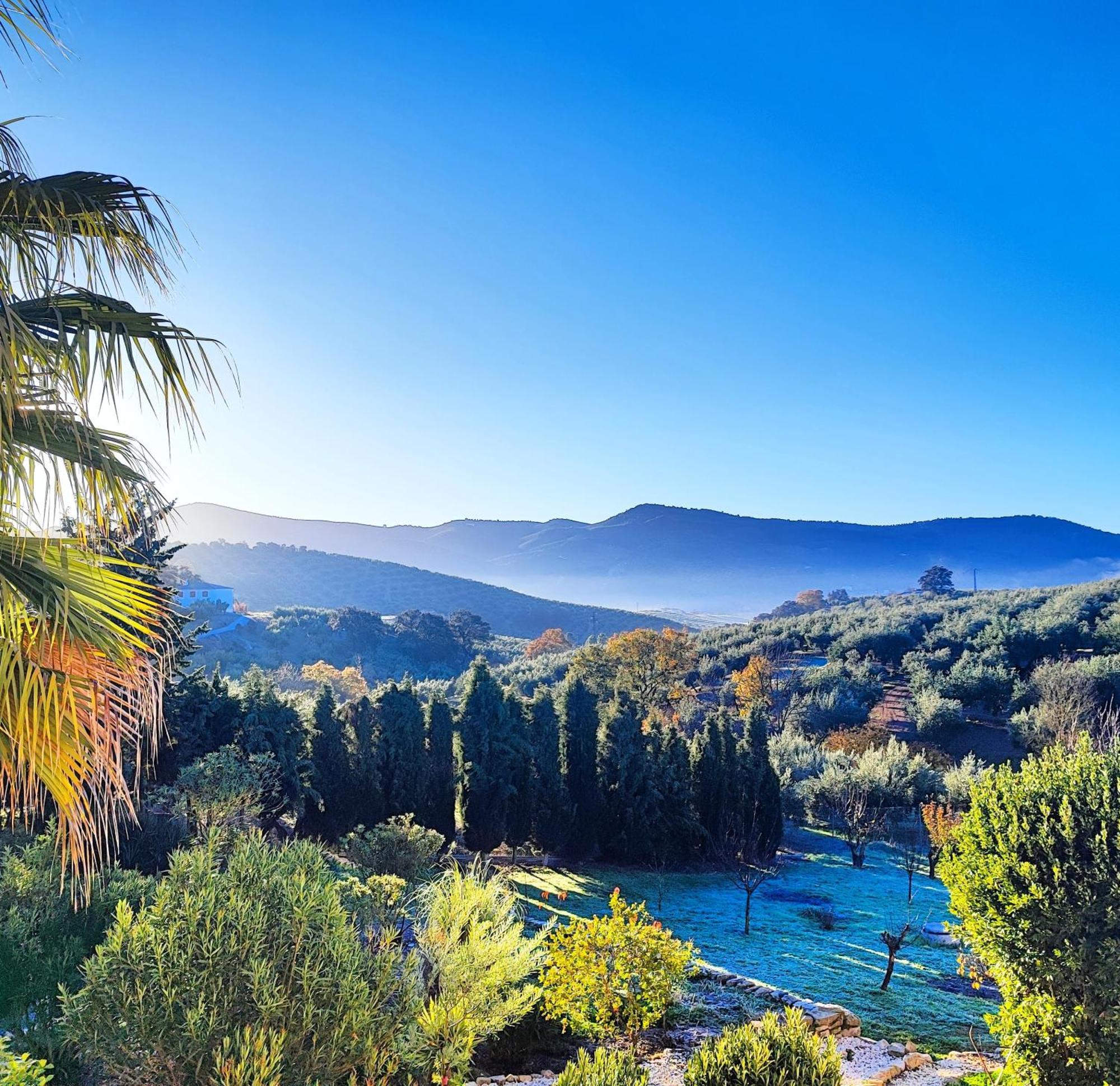 Cortijo Pennymaria Poolside Apartment Near Montefrio With Stunning Views Экстерьер фото